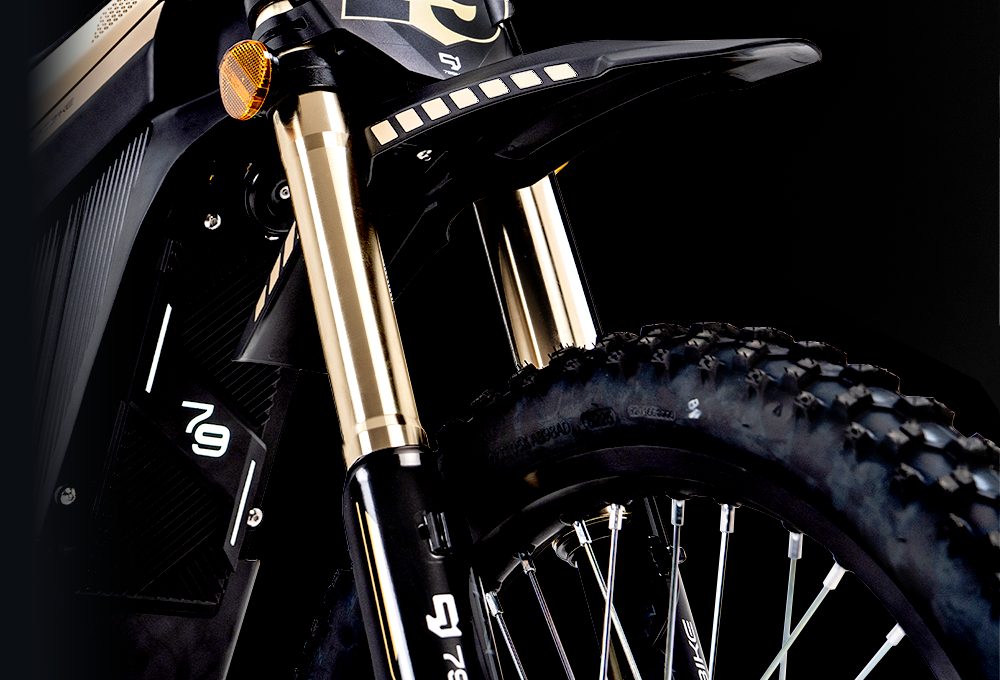 FastAce front fork
