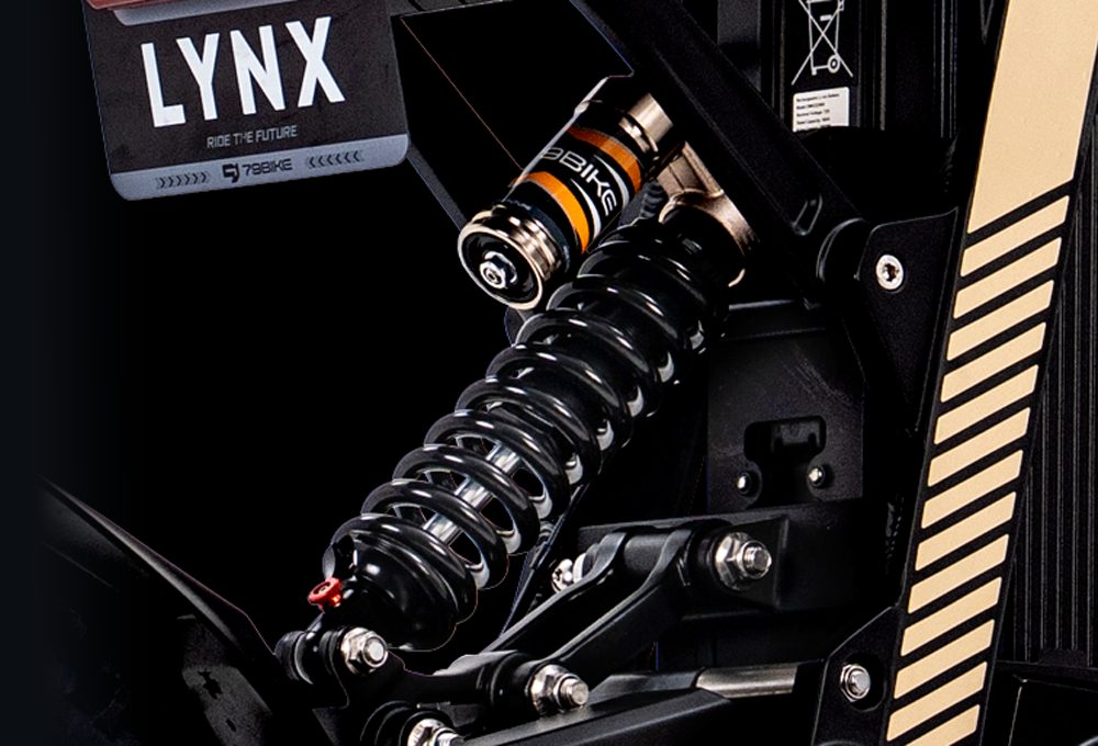 Rear shock absorber system